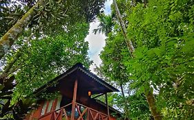 Wooden Cottages Glen Wayanad