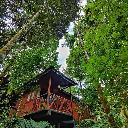 Wooden Cottages Glen Wayanad Meppādi Eksteriør bilde
