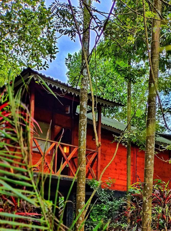 Wooden Cottages Glen Wayanad Meppādi Eksteriør bilde