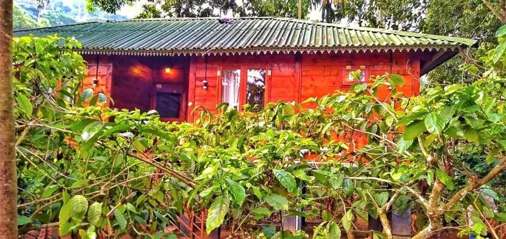 Wooden Cottages Glen Wayanad Meppādi Eksteriør bilde
