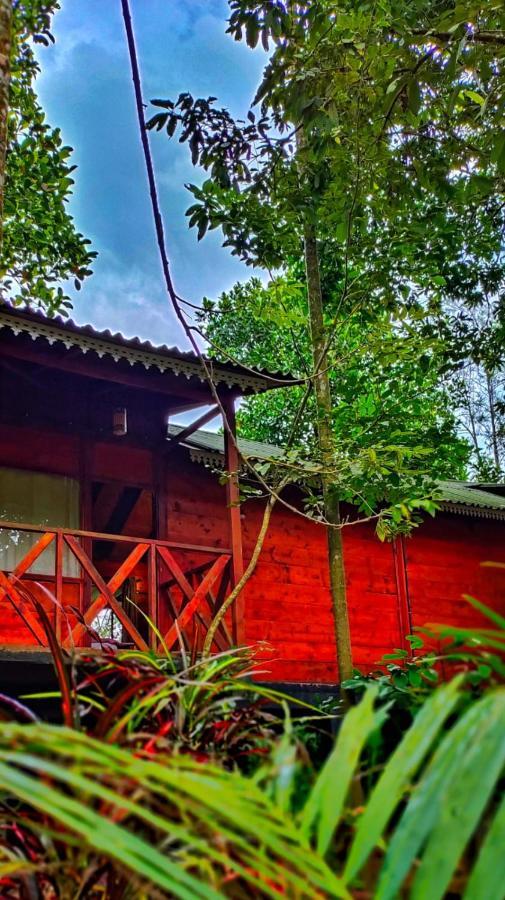 Wooden Cottages Glen Wayanad Meppādi Eksteriør bilde