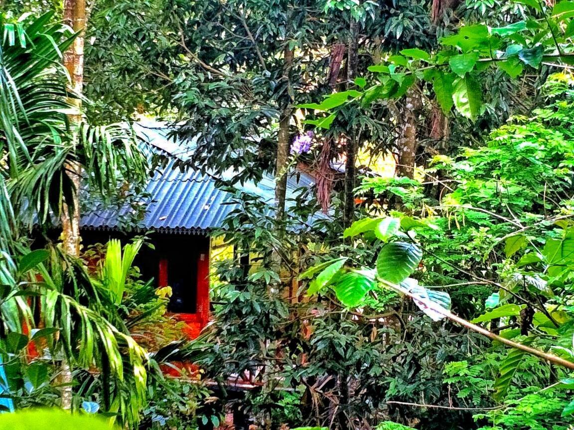 Wooden Cottages Glen Wayanad Meppādi Eksteriør bilde