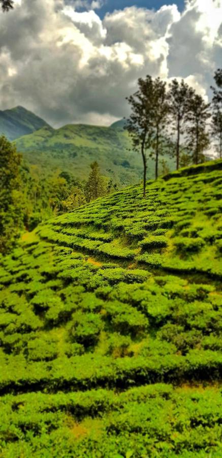 Wooden Cottages Glen Wayanad Meppādi Eksteriør bilde