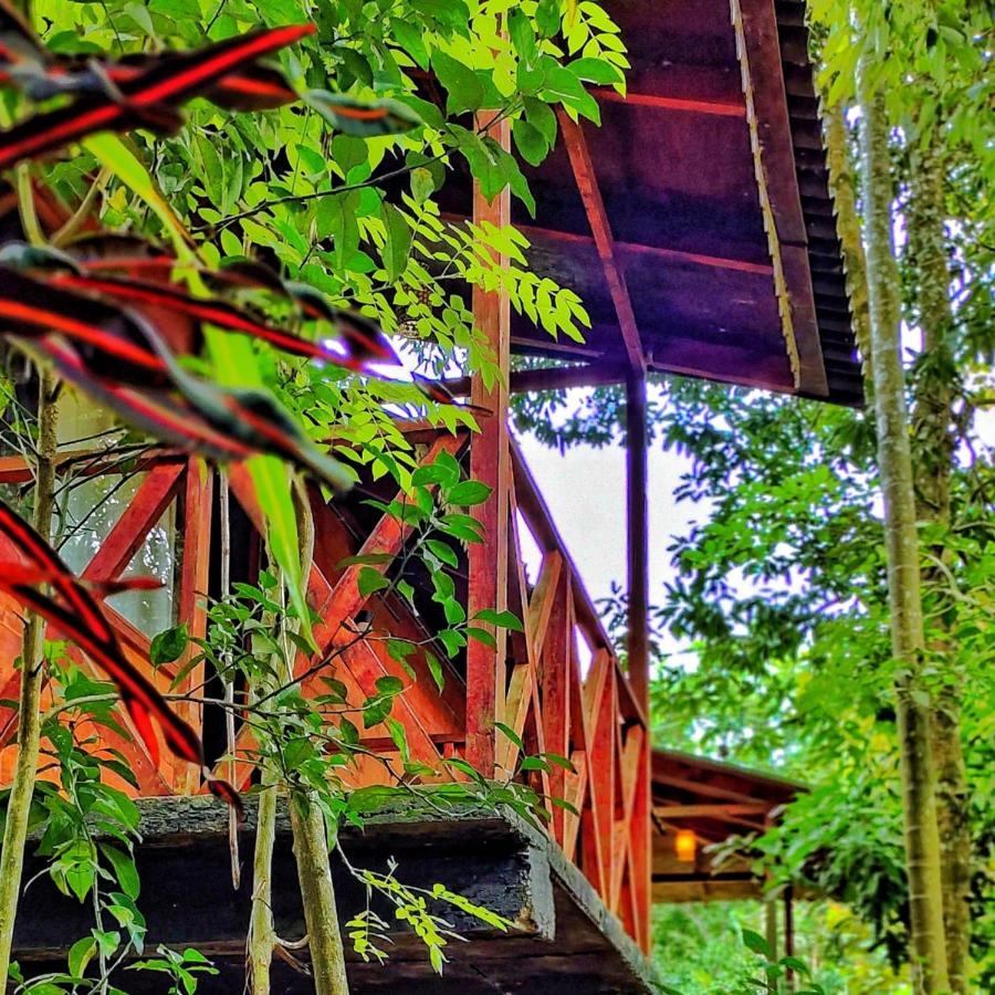 Wooden Cottages Glen Wayanad Meppādi Eksteriør bilde