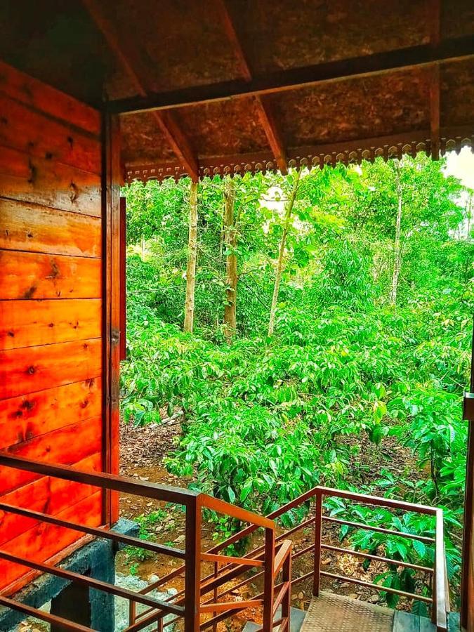 Wooden Cottages Glen Wayanad Meppādi Eksteriør bilde