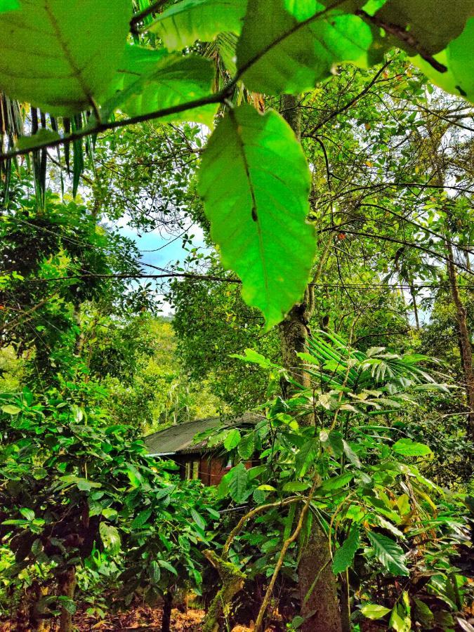 Wooden Cottages Glen Wayanad Meppādi Eksteriør bilde
