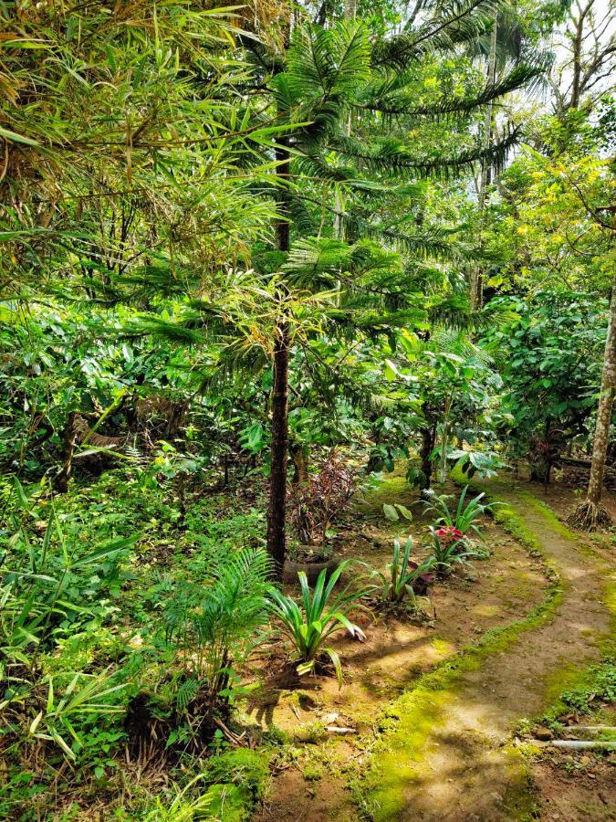 Wooden Cottages Glen Wayanad Meppādi Eksteriør bilde