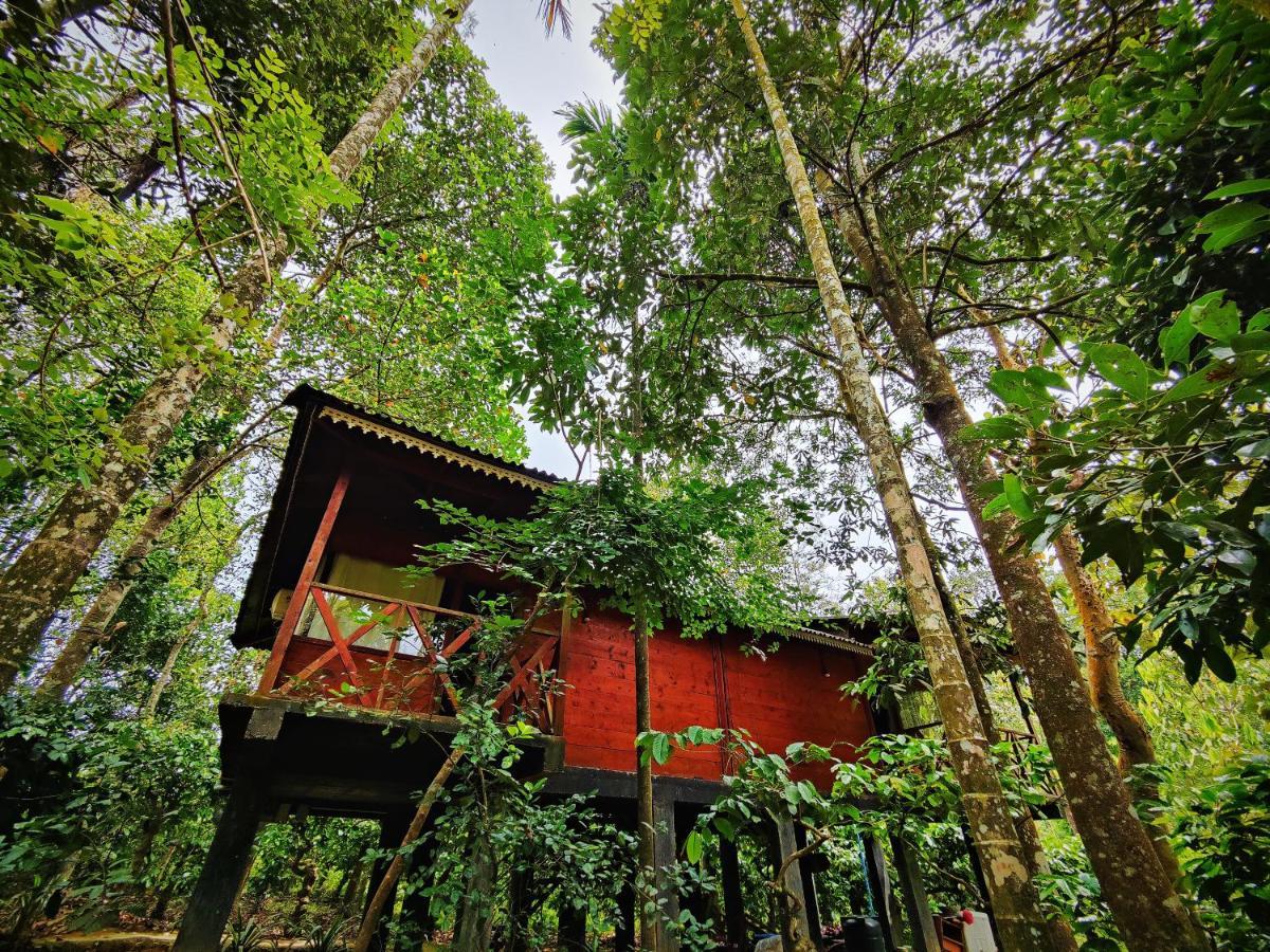 Wooden Cottages Glen Wayanad Meppādi Eksteriør bilde