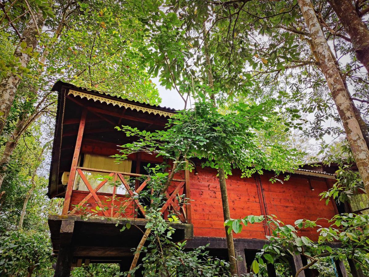 Wooden Cottages Glen Wayanad Meppādi Eksteriør bilde