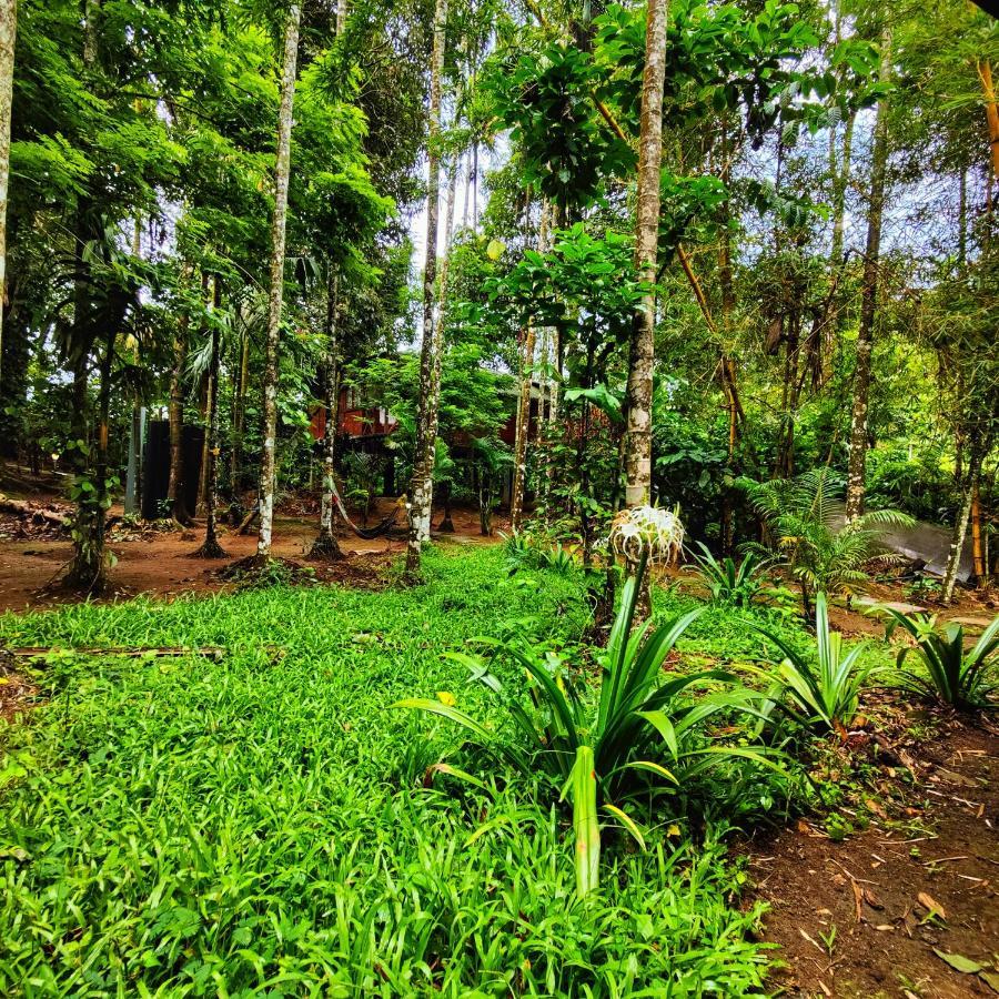 Wooden Cottages Glen Wayanad Meppādi Eksteriør bilde