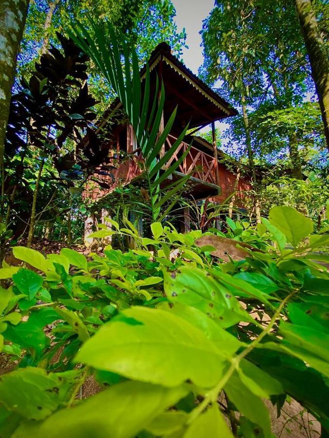 Wooden Cottages Glen Wayanad Meppādi Eksteriør bilde