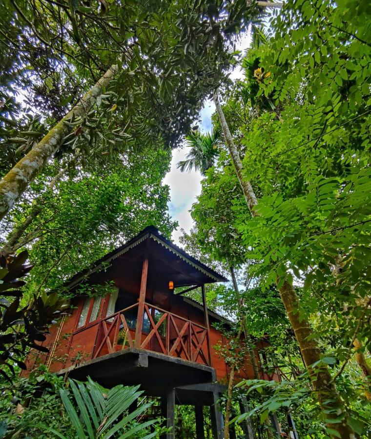 Wooden Cottages Glen Wayanad Meppādi Eksteriør bilde